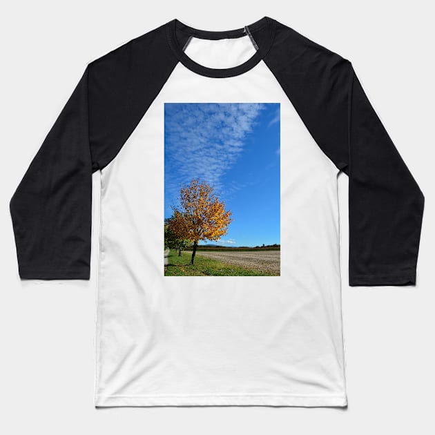 Autumnal Tree Baseball T-Shirt by jojobob